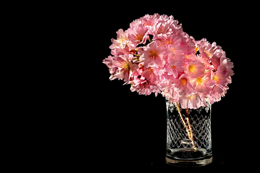 Murmuris de primavera II