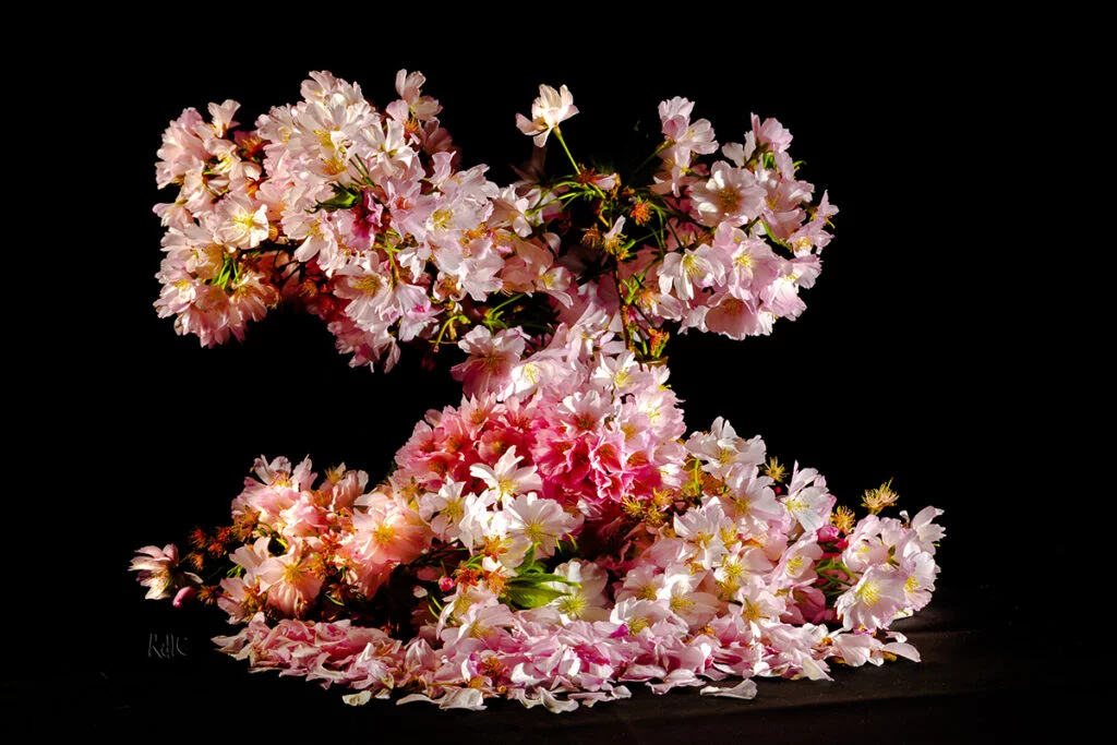Murmuris de primavera