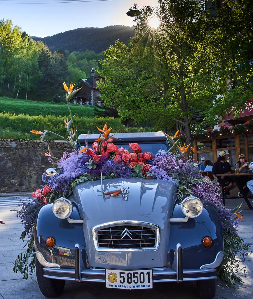 2cv