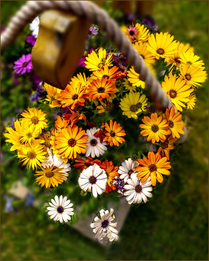 Laberint de flors