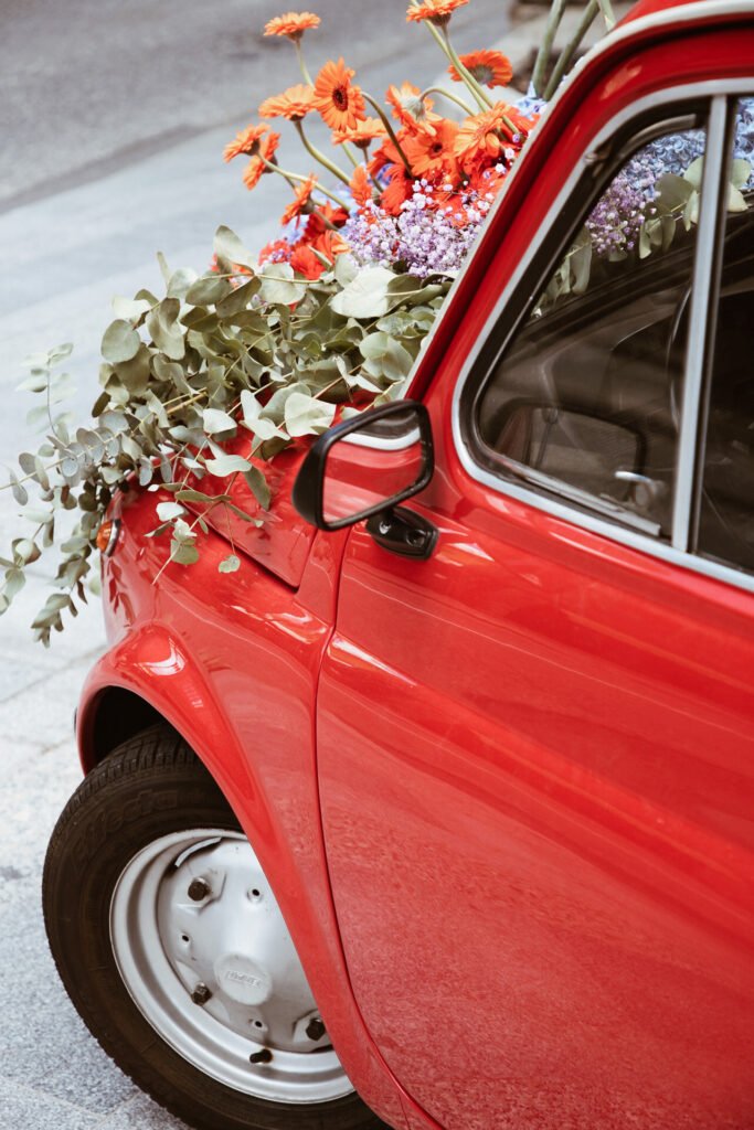 Flors i Classics - AndoFlora 2024