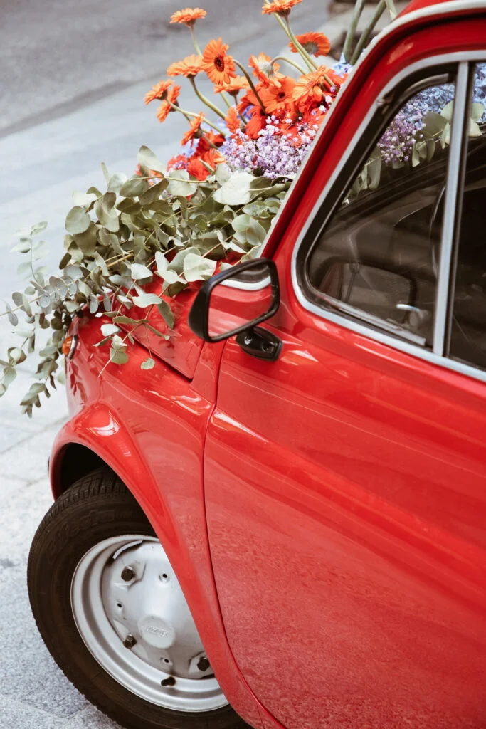 Flors i Classics - AndoFlora 2024