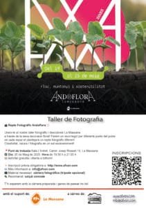 taller Andoflora